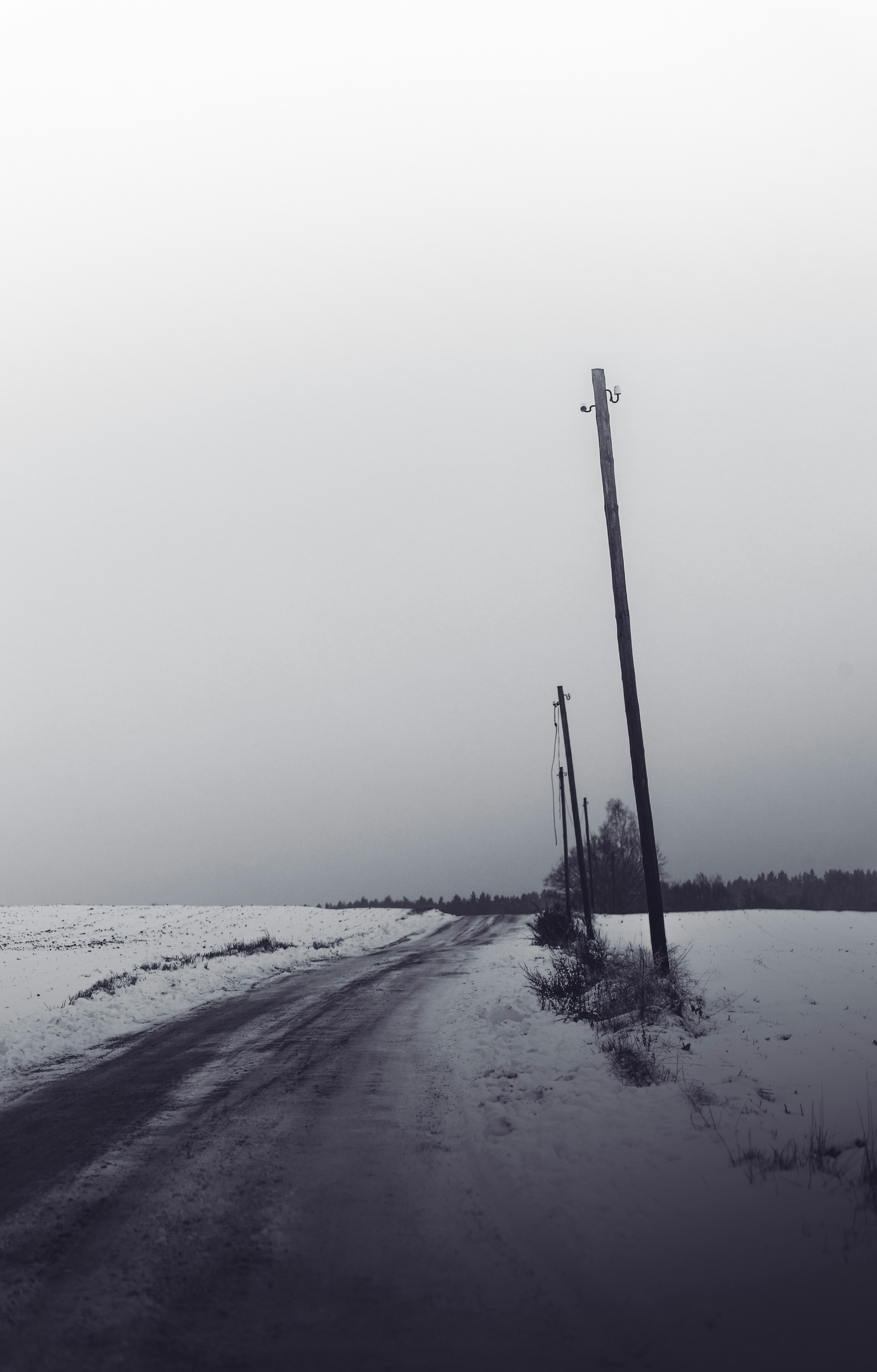 Photo by marekpiwnicki