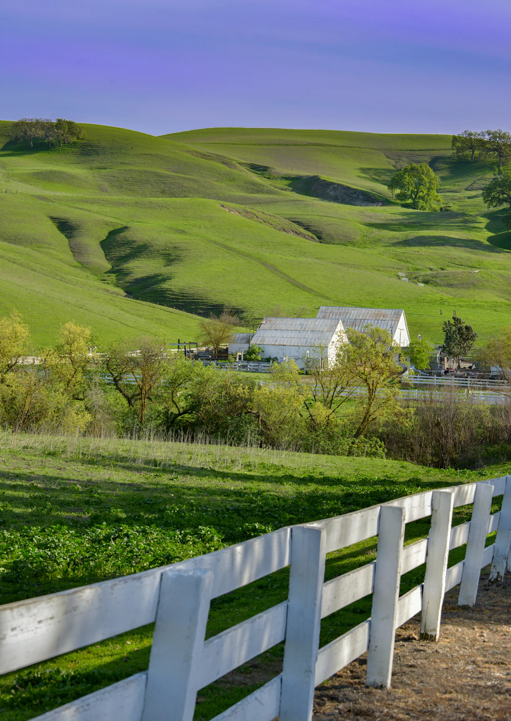 Ranch and pasture land at sunset