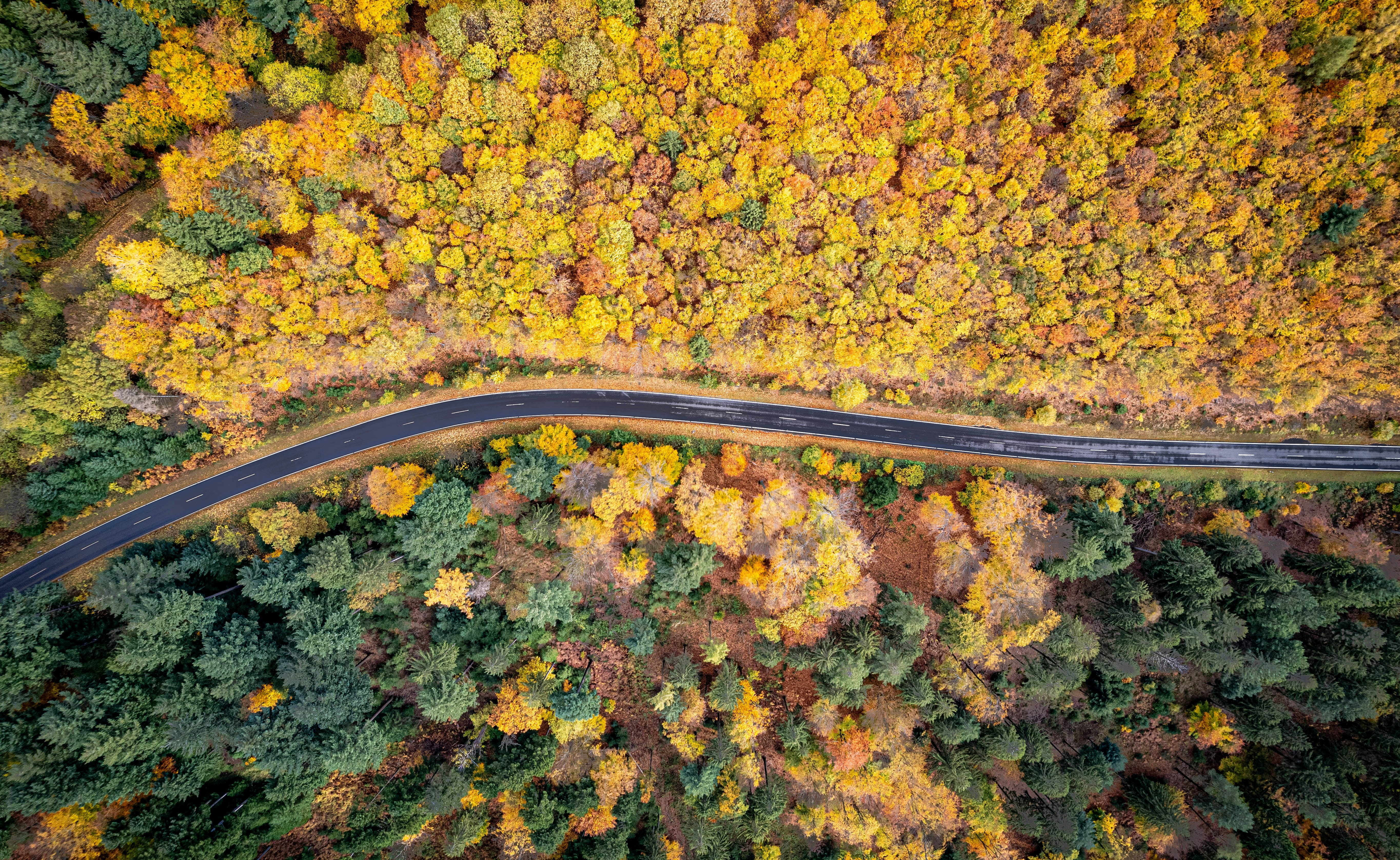 an aerial view of a road surrounded by trees