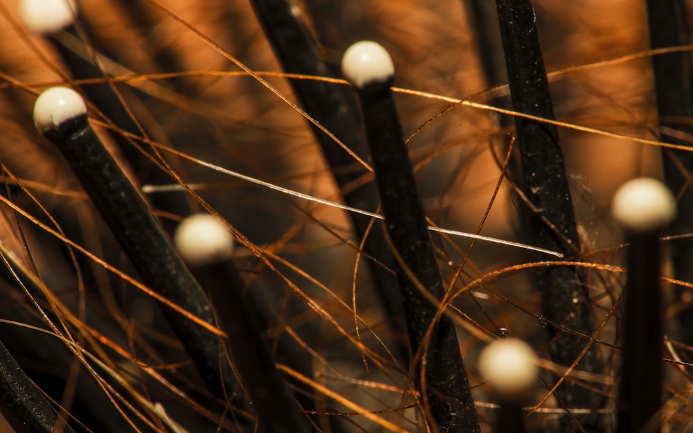 a bunch of branches with white balls on them