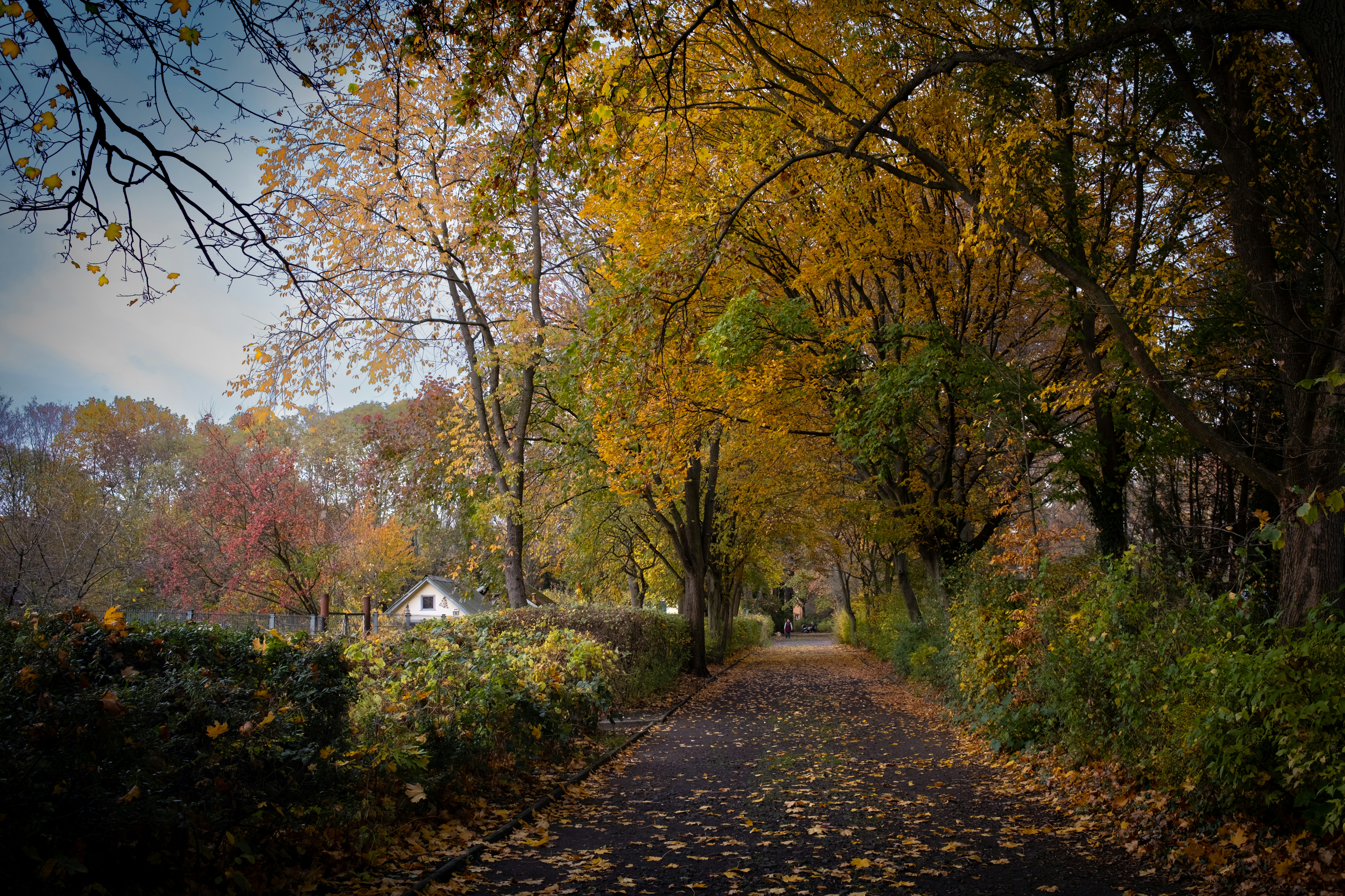 Photo by mustafayusf