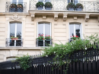 Close-up of classic Parisian architecture with wrought-iron balconies and flower pots.