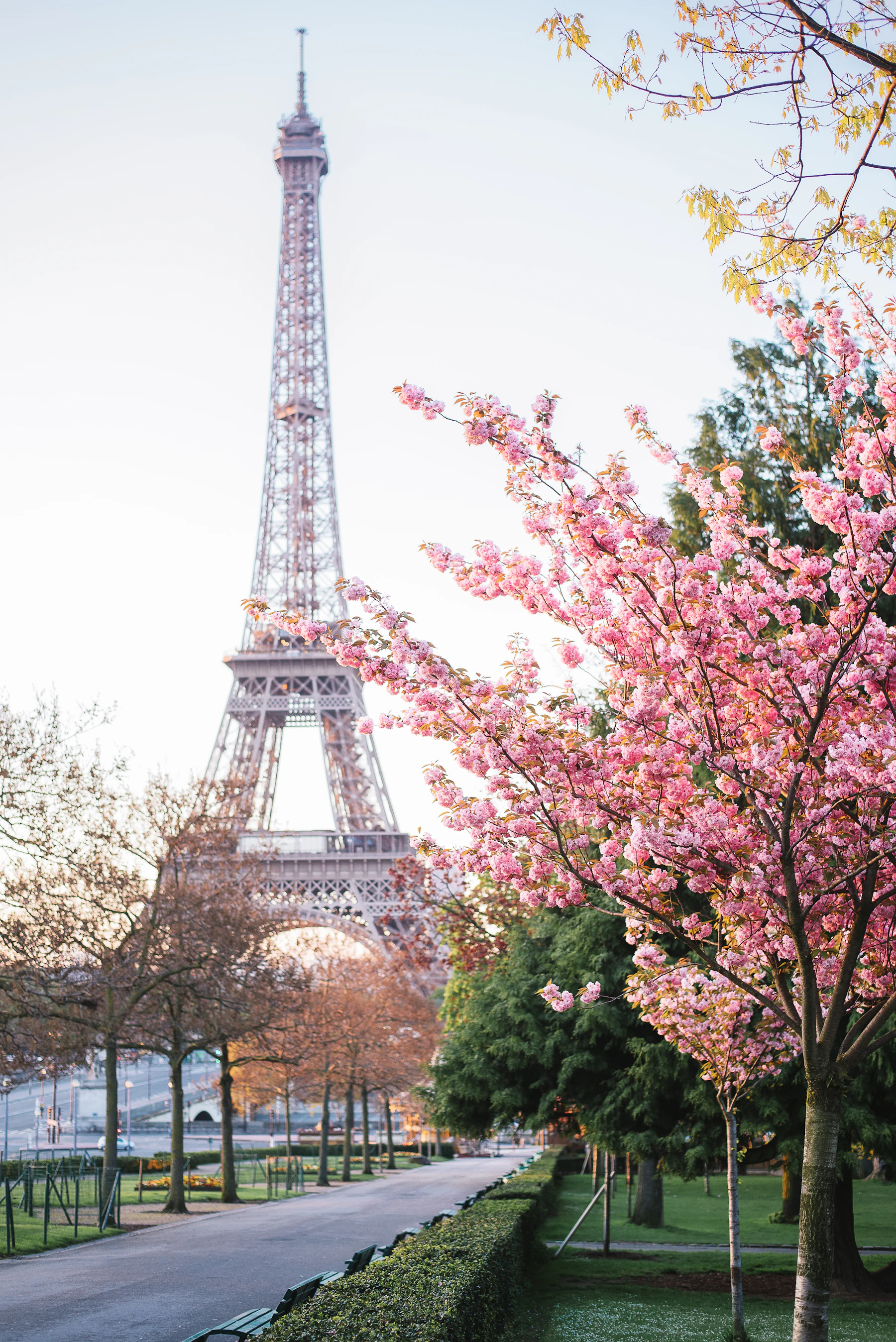 The Eiffel Tower rising over Paris at golden hour