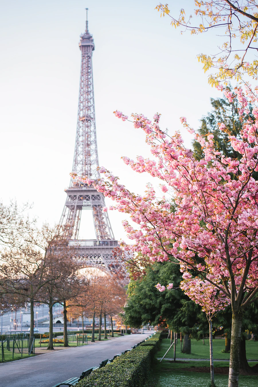 Paris skyline at golden hour