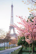 the eiffel tower towering over the city of paris