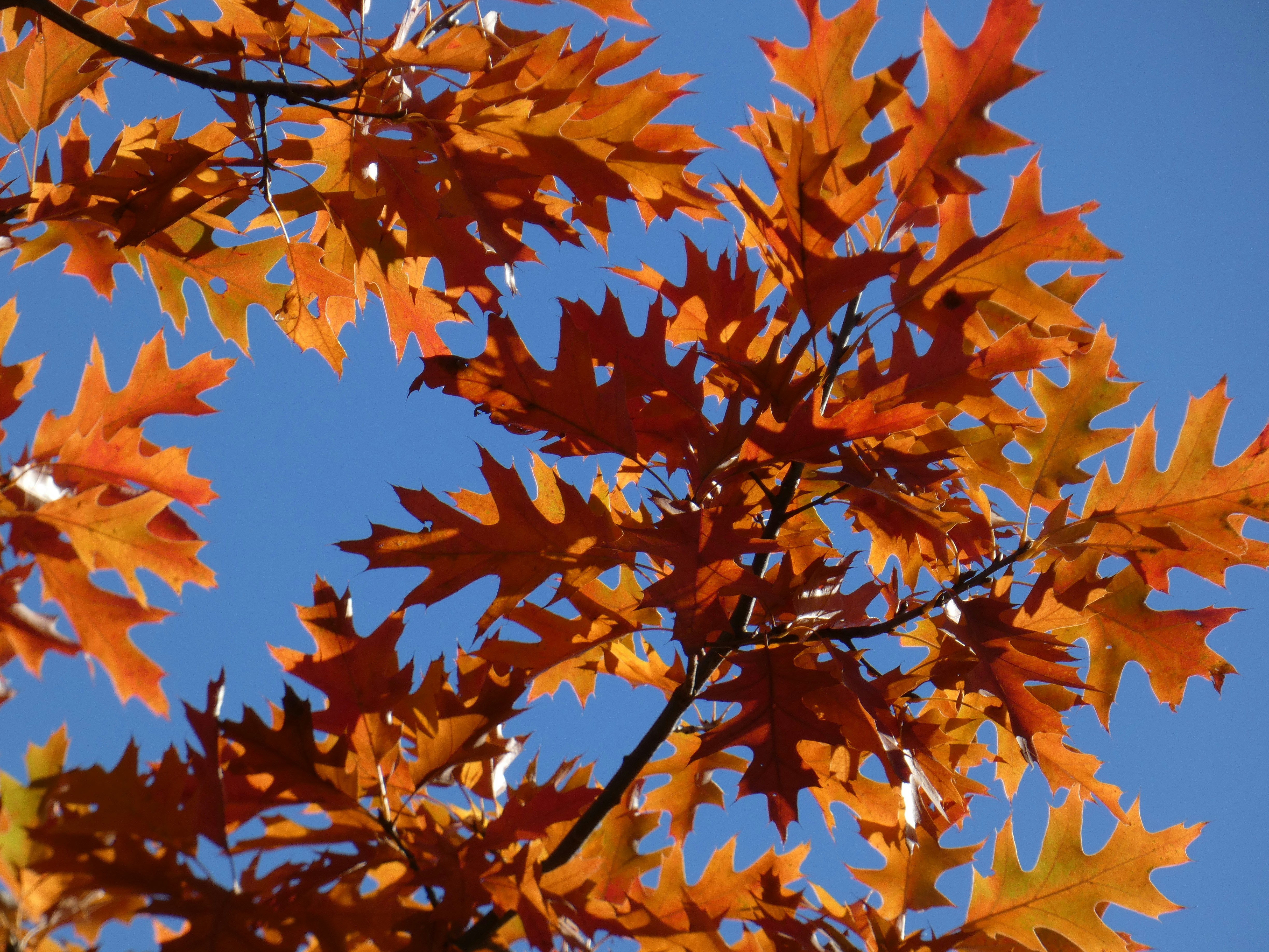 Photo by evelynbodnar