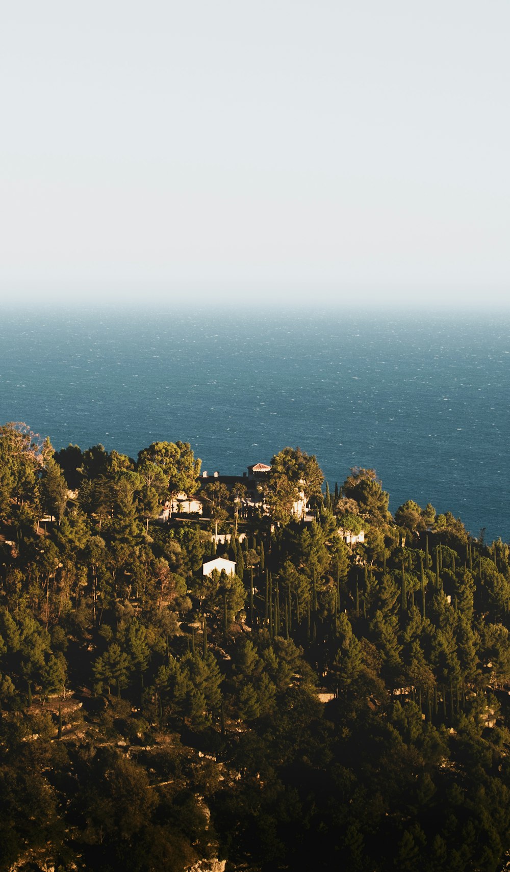 a view of the ocean from a hill