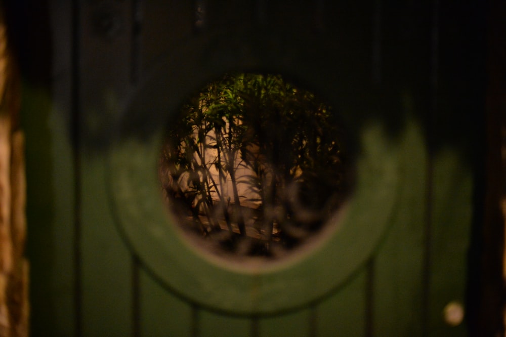 a green door with a reflection of trees in it