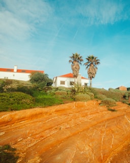 A coastal scene features two white houses with red tile roofs, surrounded by lush greenery. Two tall palm trees stand prominently near the houses. The foreground consists of striking orange rock formations with visible layers and textures. The sky is bright blue with scattered clouds.