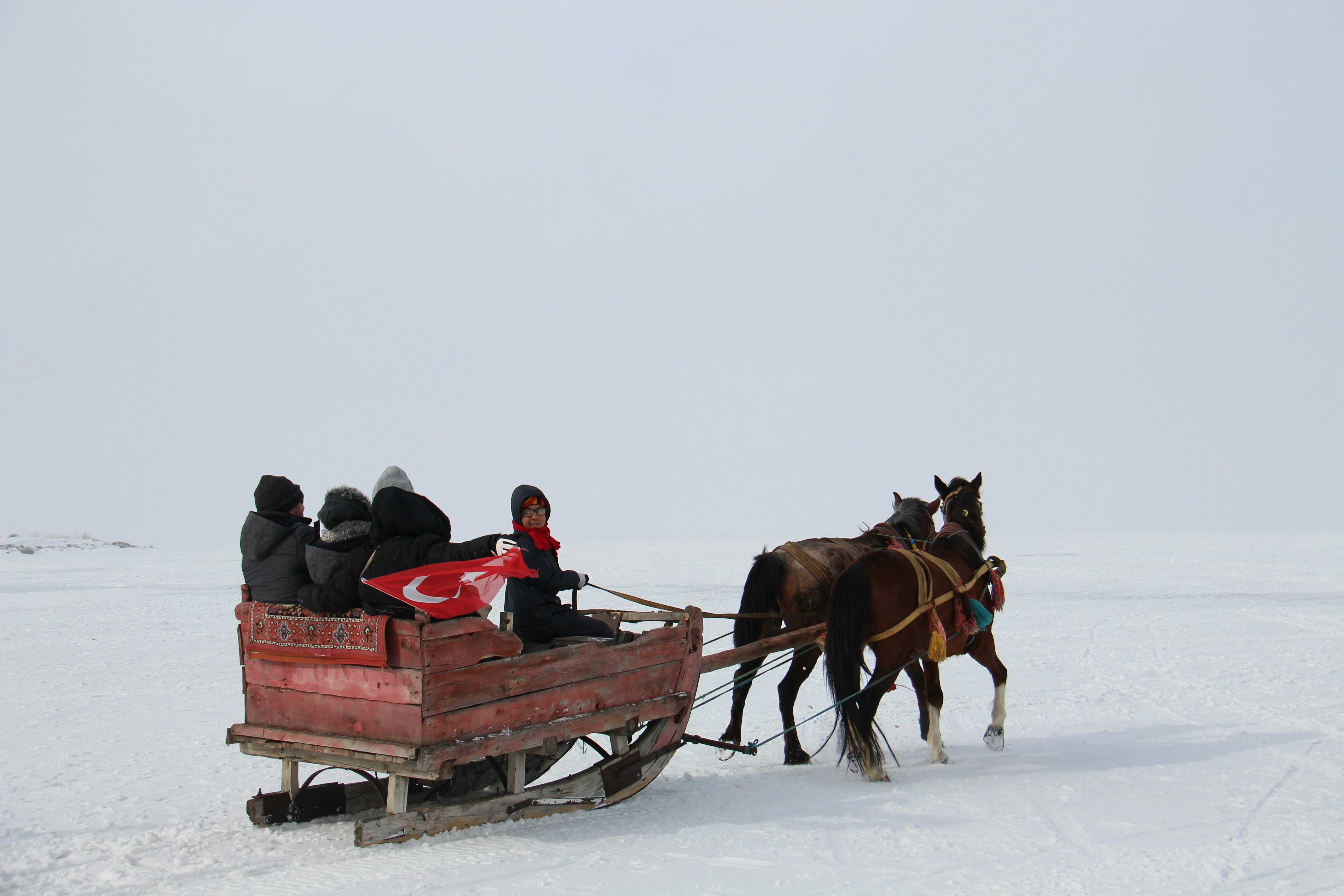 a group of people riding in a horse drawn sleigh