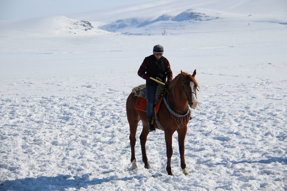 a man riding on the back of a brown horse