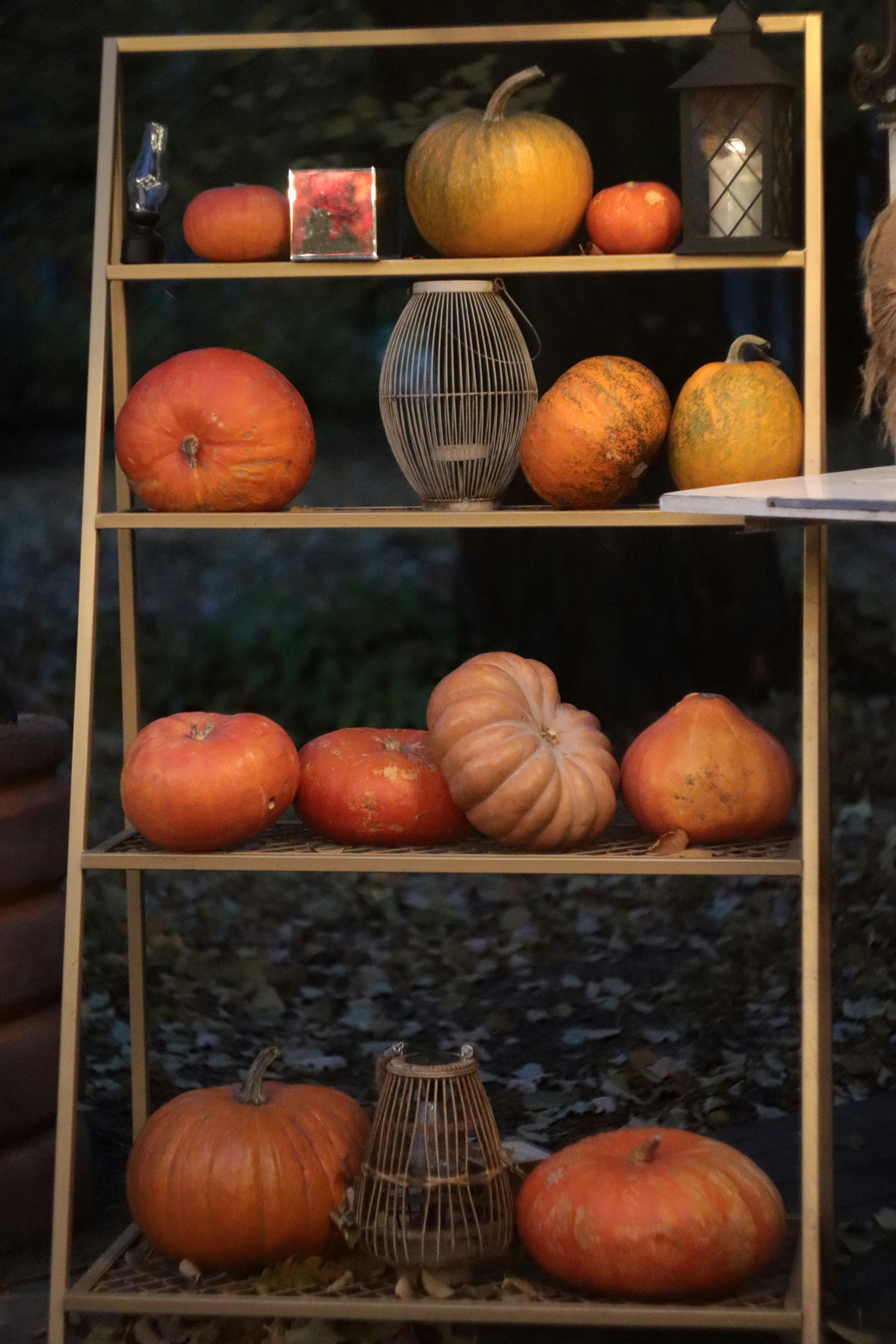 una estantería llena de muchas calabazas junto a una jaula de pájaros