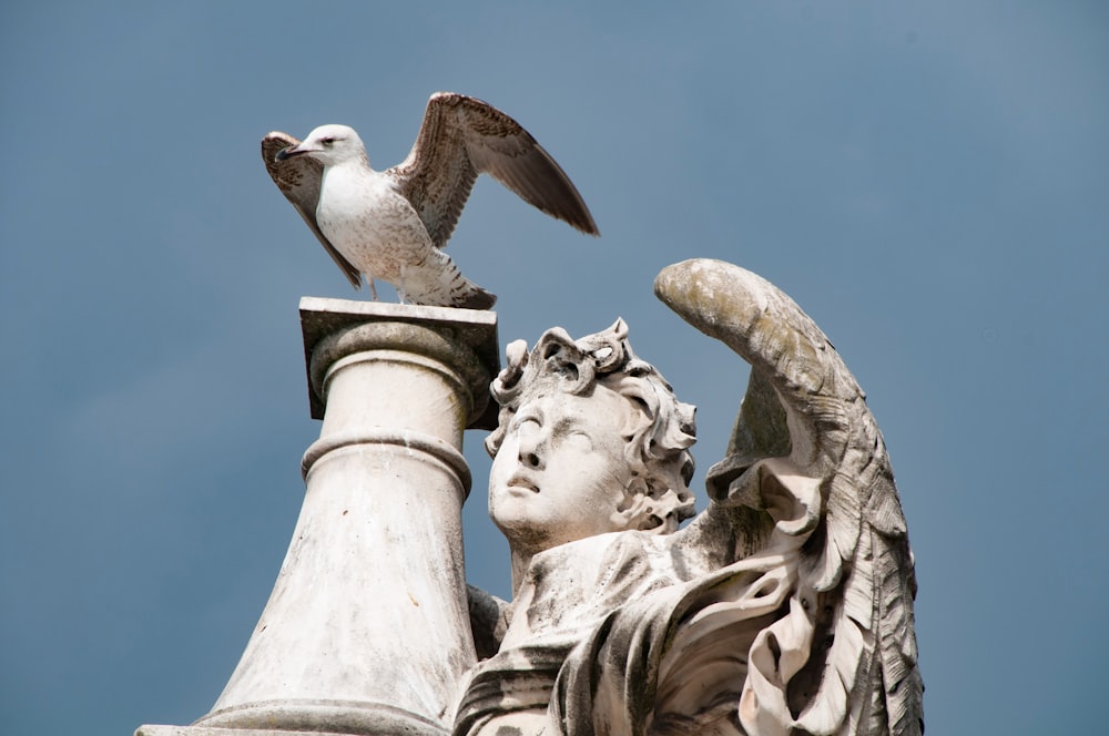 a bird perched on top of a statue of an angel