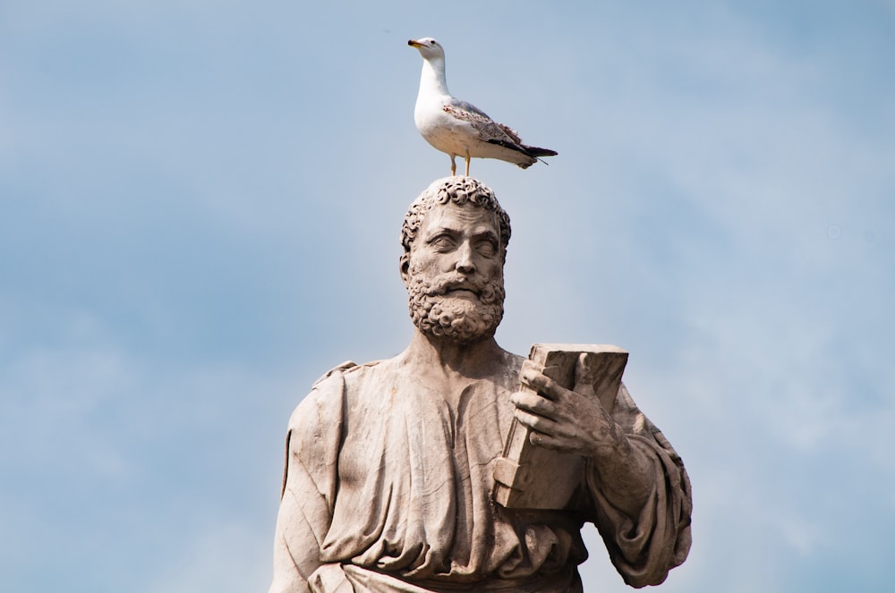 un pájaro sentado en la parte superior de una estatua de un hombre