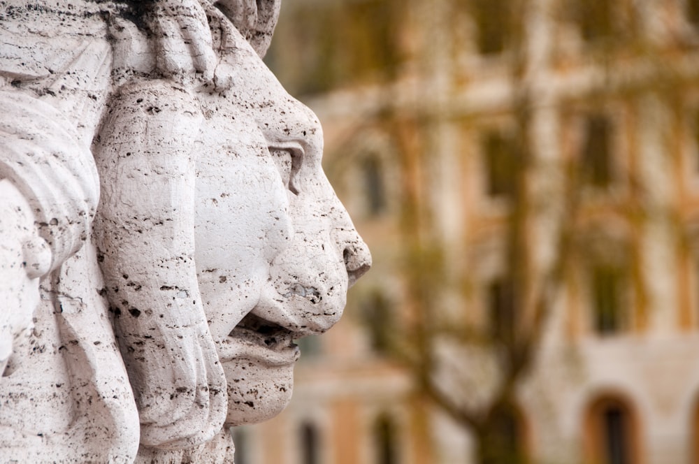 a close up of a statue of two lions