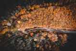 A winding road through autumn-colored forests, shot from a drone perspective.