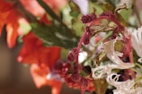 A close-up of a colorful floral arrangement featuring curled white petals, vibrant red and purple blossoms, and various shades of green leaves. The composition includes a mix of petals and berries with a blurred background that accentuates the vivid colors and intricate patterns of the flowers.