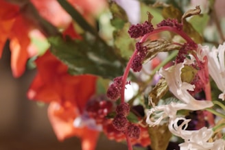 A close-up of a colorful floral arrangement featuring curled white petals, vibrant red and purple blossoms, and various shades of green leaves. The composition includes a mix of petals and berries with a blurred background that accentuates the vivid colors and intricate patterns of the flowers.