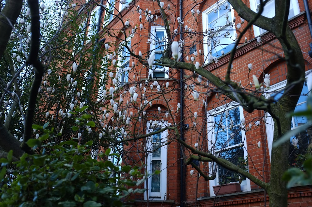 a red brick building with a tree in front of it