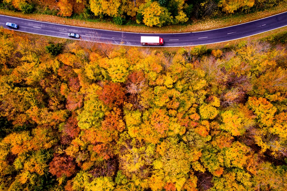 an aerial view of a road surrounded by trees