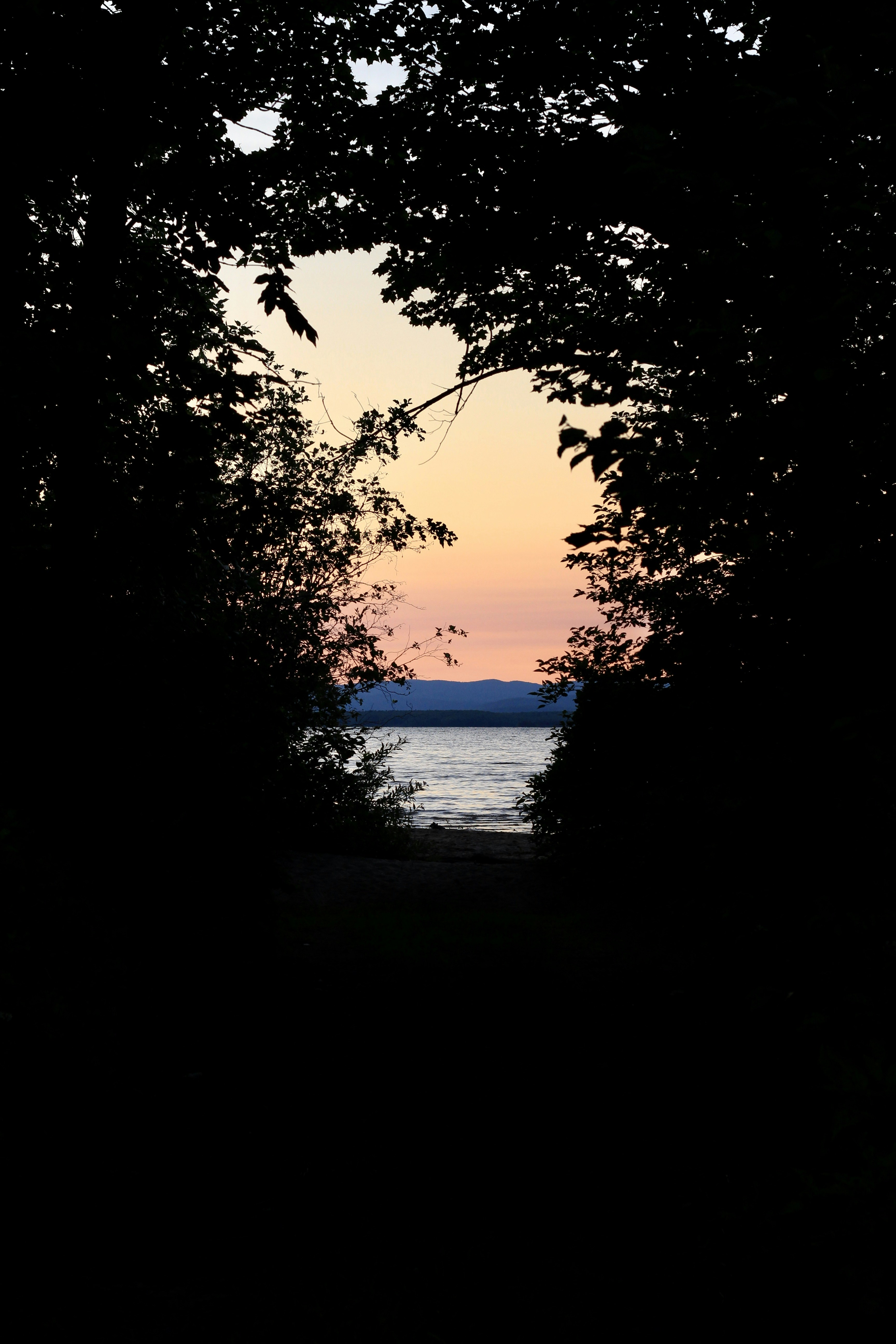 Photo by noemie_design_photo