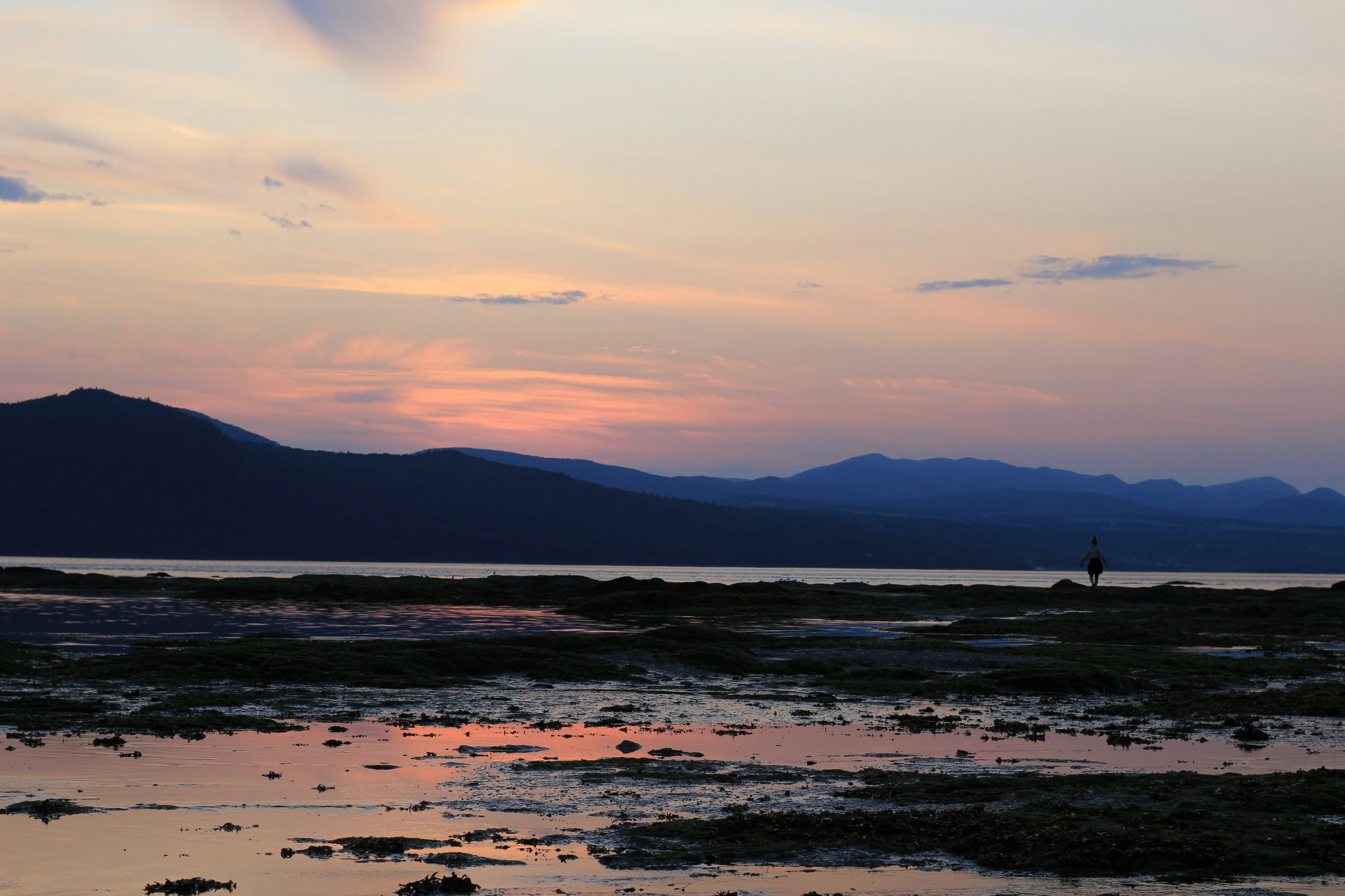 Photo by noemie_design_photo