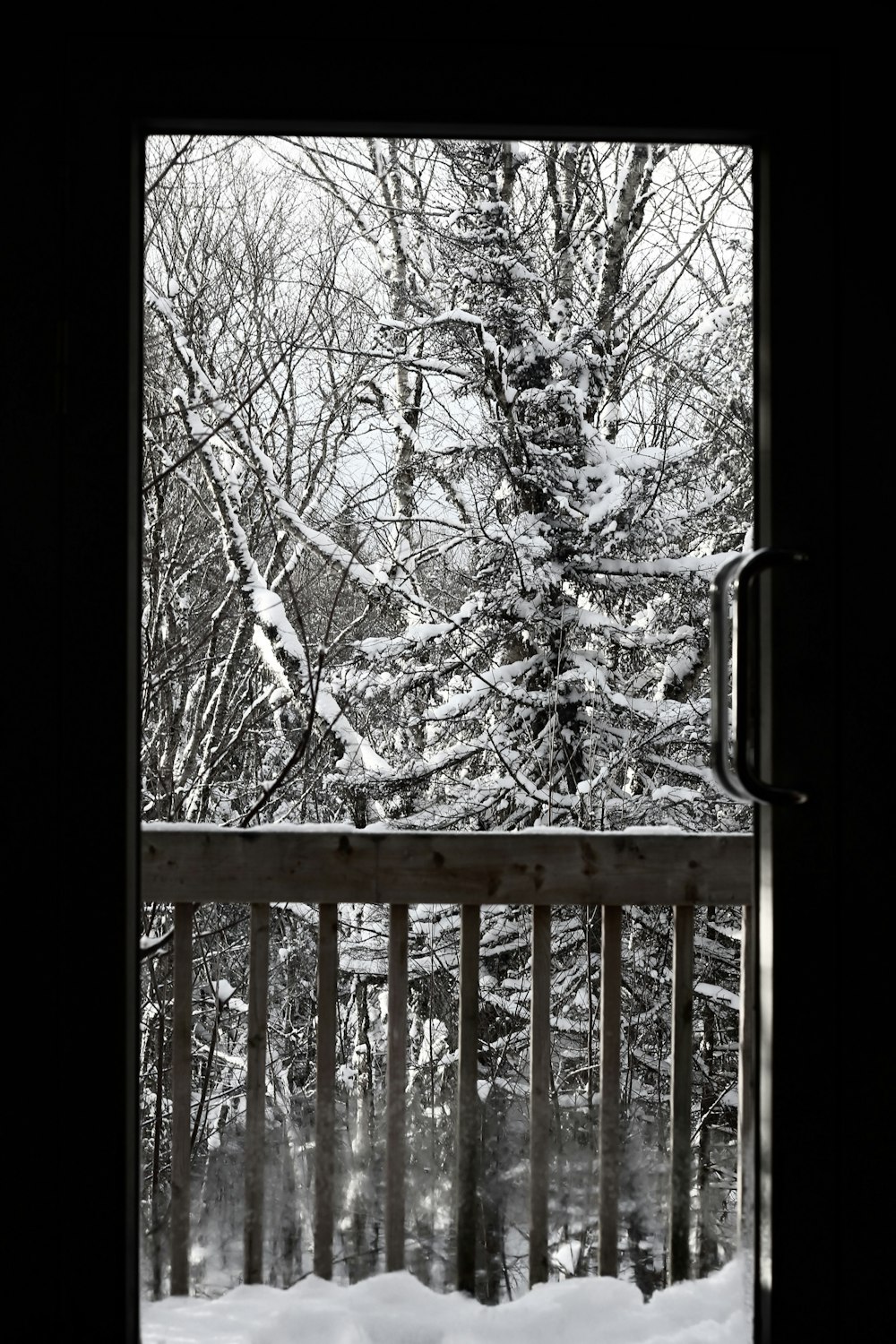 a view of a snowy forest through a window