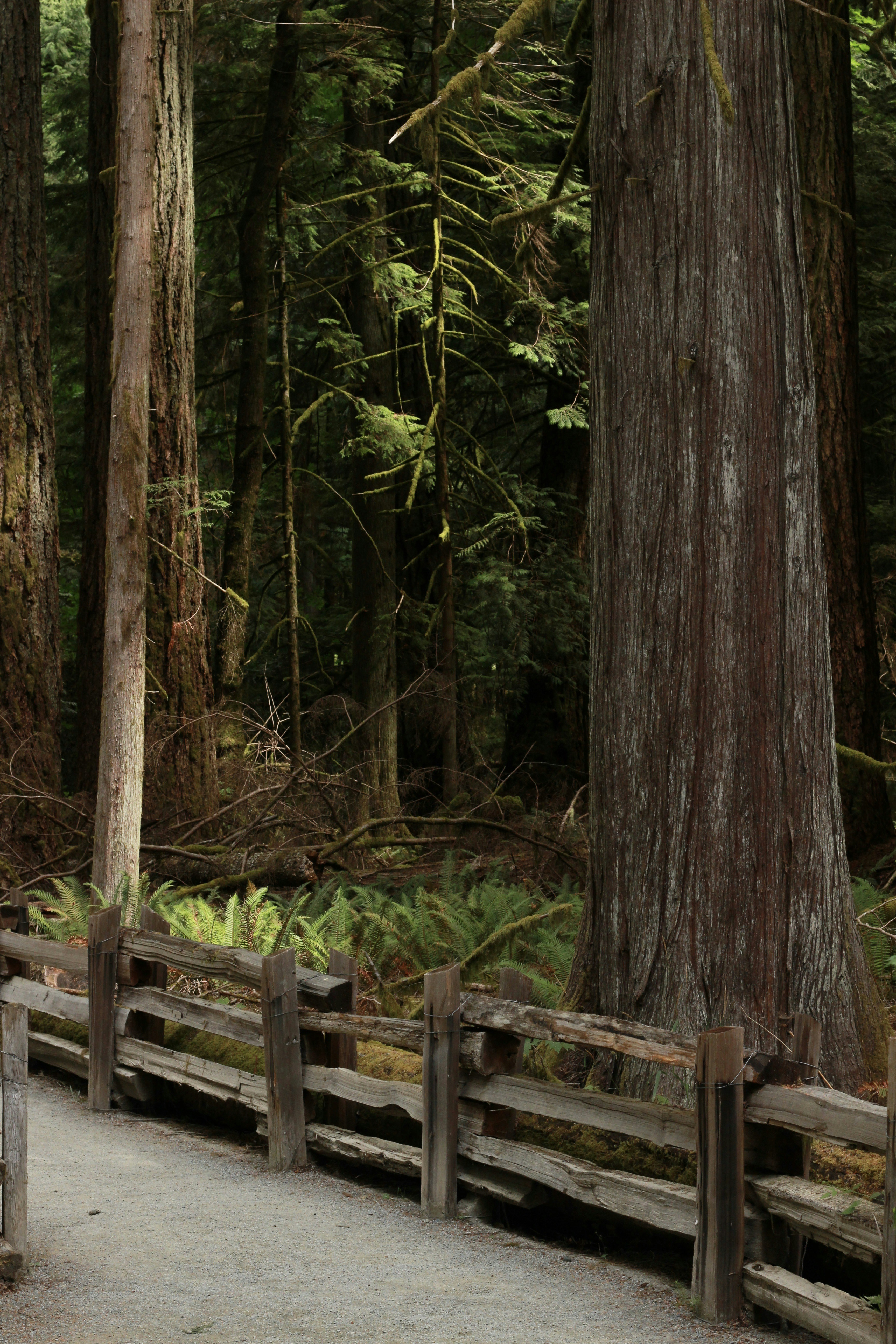 Photo by noemie_design_photo