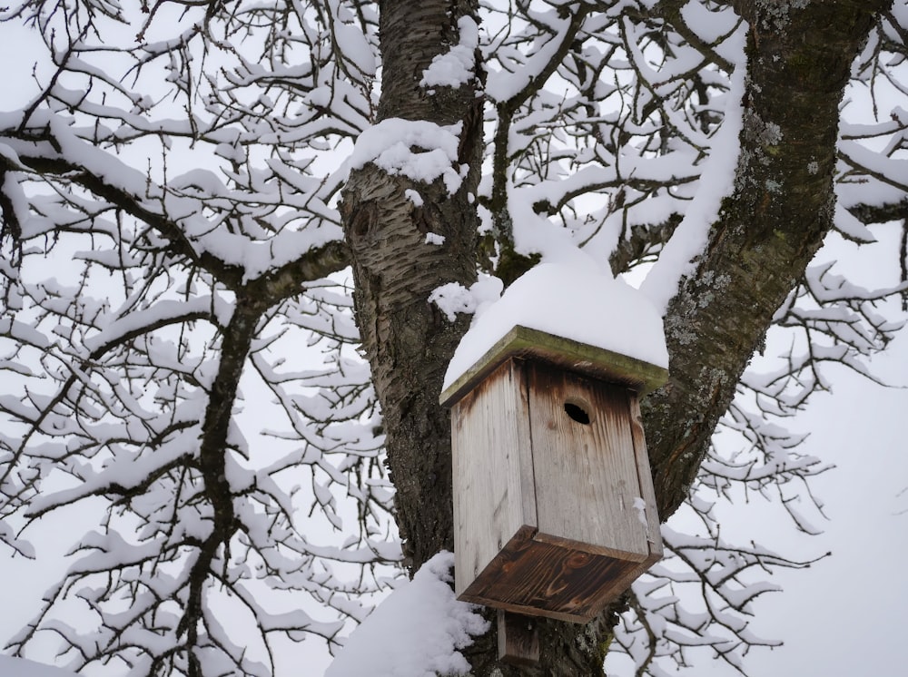 a birdhouse in a tree covered in snow