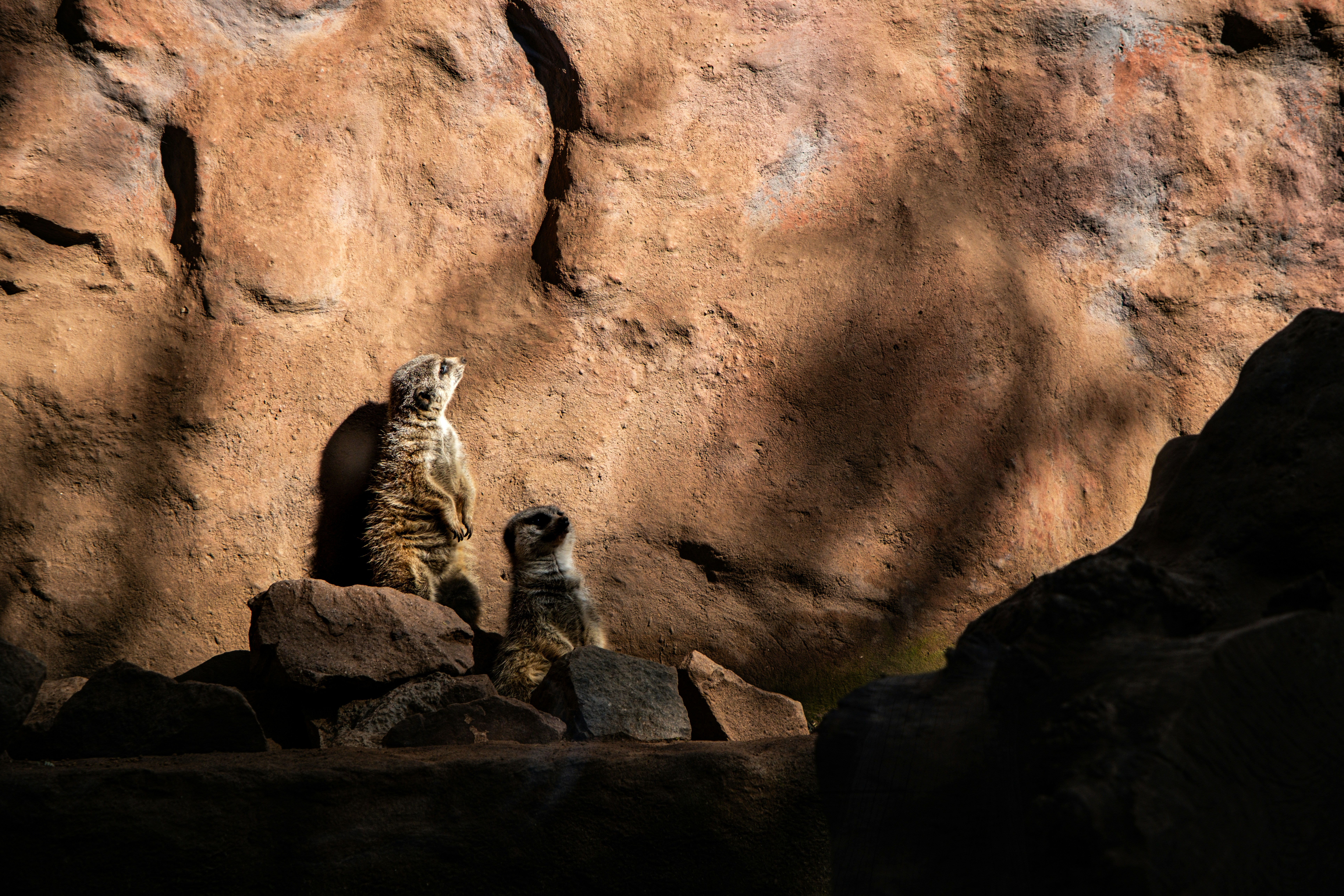 Photo by ismaelezequiel