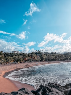 Smiling faces enjoying the beach vibes of Goa, with palm trees and waves in the background.