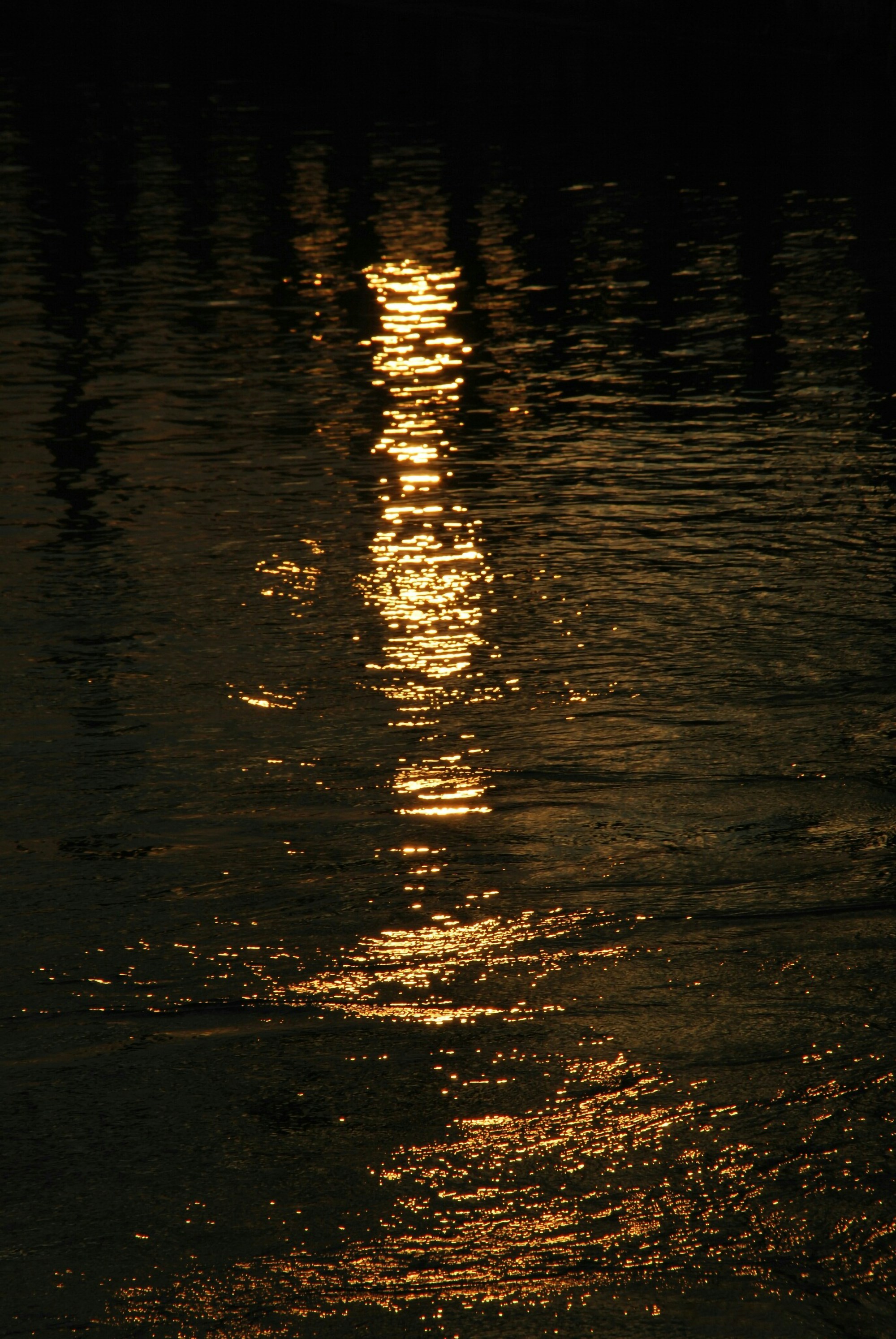 Photo by lhonkarwanhamasalih