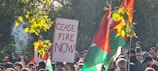 A crowd of people is gathered at a demonstration, holding signs and flags. One prominent sign reads 'CEASE-FIRE NOW'. The scene includes a mix of flags, one of which appears to be the Palestinian flag. The trees overhead have green and yellow leaves, with sunlight filtering through. Some smoke is visible, and people in the crowd display a variety of expressions.