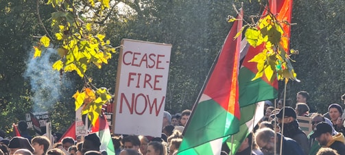 A crowd of people is gathered at a demonstration, holding signs and flags. One prominent sign reads 'CEASE-FIRE NOW'. The scene includes a mix of flags, one of which appears to be the Palestinian flag. The trees overhead have green and yellow leaves, with sunlight filtering through. Some smoke is visible, and people in the crowd display a variety of expressions.