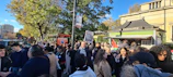 Volunteers distributing poppies during a community drive on a busy street corner.