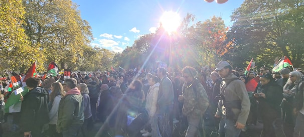 A vibrant campaign rally with supporters holding signs and cheering under bright sunlight.