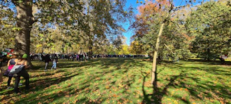 Students gathering fallen leaves and observing trees in a sunny autumn park.