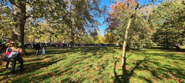 Students gathering fallen leaves and observing trees in a sunny autumn park.