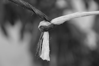 A close-up view of a knot tied with two pieces of rope, one light and one dark, against a blurred background.