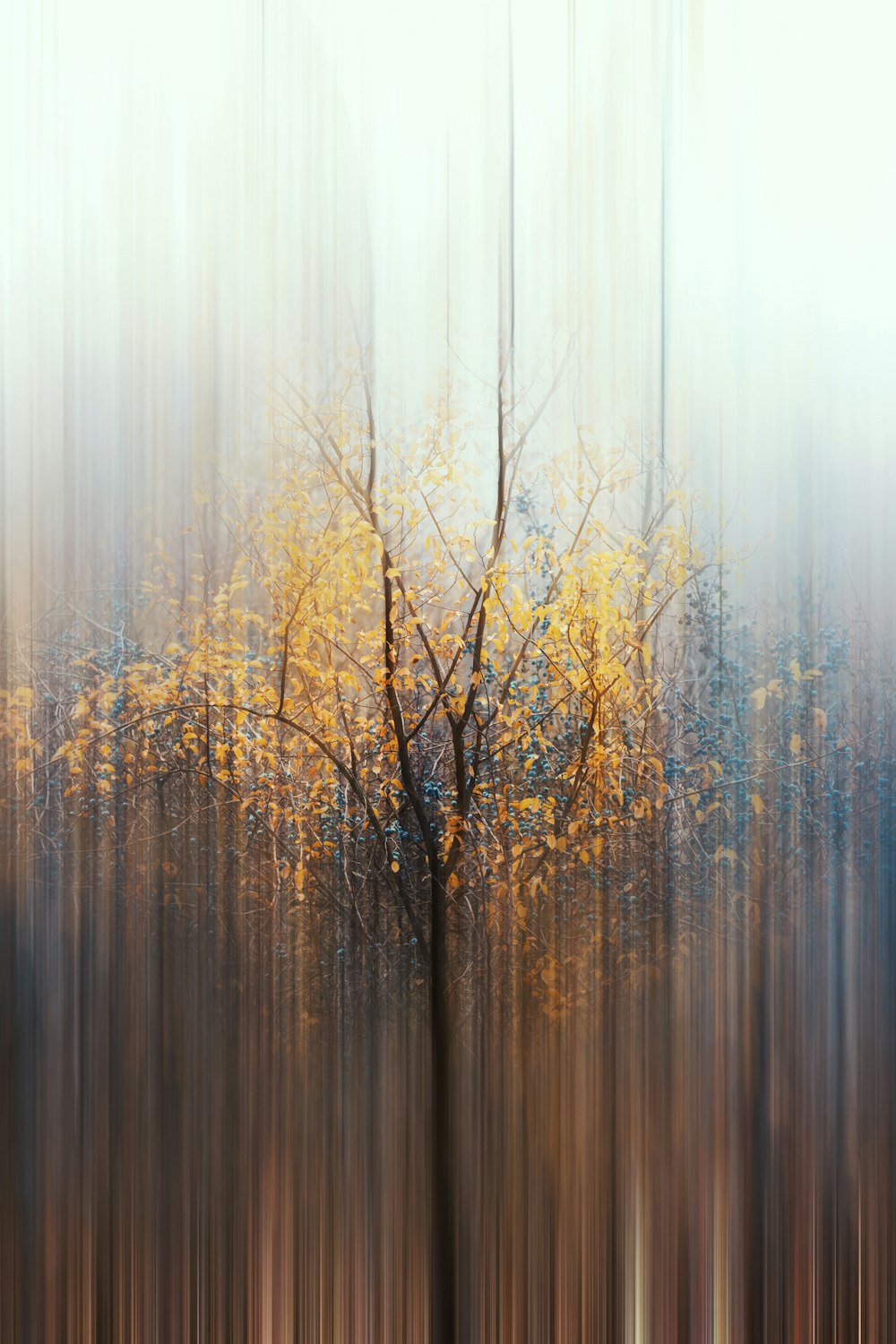 una foto borrosa de un árbol con hojas amarillas