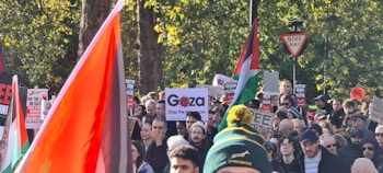 A large group of people gathered, many holding signs with messages about Gaza and Palestine. Several flags are visible, including red, white, green, and black, prominently displayed. The crowd appears dense and engaged, set against a backdrop of trees and a 'Give Way' traffic sign.