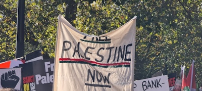 A protest scene with signs and banners, including one large beige banner with bold text reading 'Free Palestine Now.' Surrounding signs feature slogans and graphics related to the protest theme, with a backdrop of green trees visible.