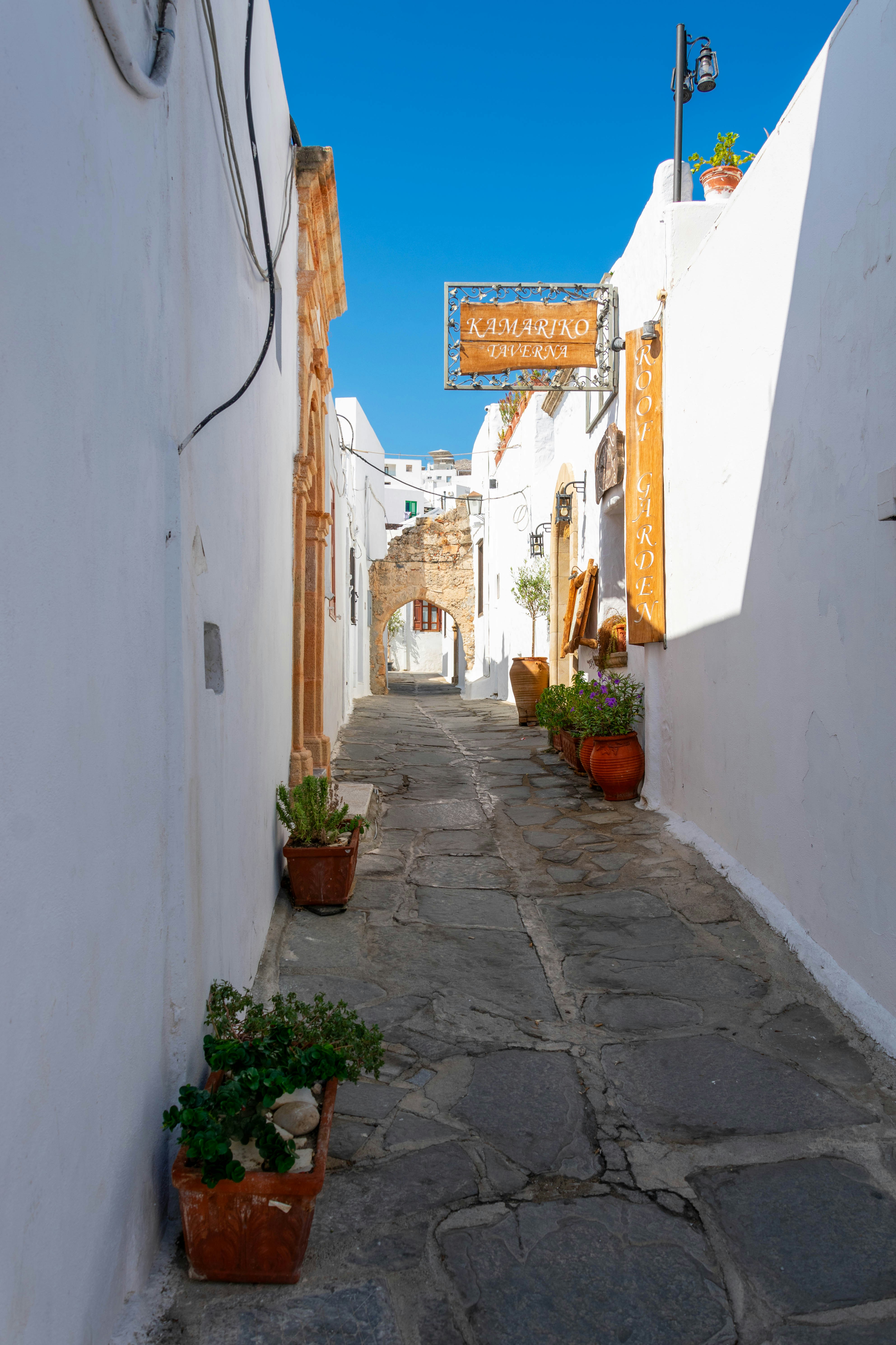 a narrow street with potted plants on either side