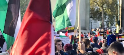 A dynamic crowd waving flags during a political demonstration.