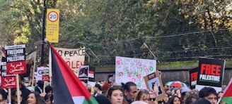 A large group of people is participating in a protest. They hold various signs and banners with messages supporting Palestine, some in English and some in Arabic. A prominent sign reads 'FREE PALESTINE'. The crowd also includes people waving Palestinian flags. The protest is taking place outdoors, with trees and a speed limit sign visible in the background.