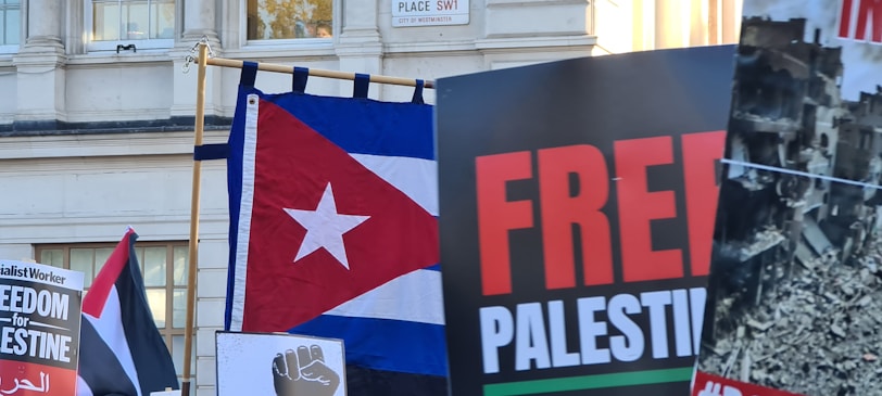 A collection of protest signs and flags, including a Cuban flag and one with 'FREE PALESTINE' text. There is a sign indicating 'Freedom for Palestine' and an image of destruction. The setting appears to be outside a building, with a partially visible street sign in the background.