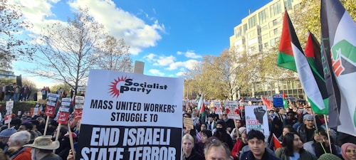 A large group of people is gathered outdoors for a protest. Various signs and banners can be seen, including messages related to socialism and opposition to Israeli state actions. Many individuals are holding flags, and the crowd is diverse. The scene is set against a background of trees and a building under a bright blue sky.
