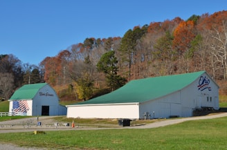 Two white barns with green roofs are situated in a grassy area with an asphalt path running between them. The barn on the left has a large American flag painted on its side and the name Bob Evans written above the entrance. The barn on the right has the word Ohio painted on it, along with decorative blue and red lines. Behind the barns, there is a hillside covered with autumn-colored trees in hues of brown, red, and green. The sky is clear and blue.