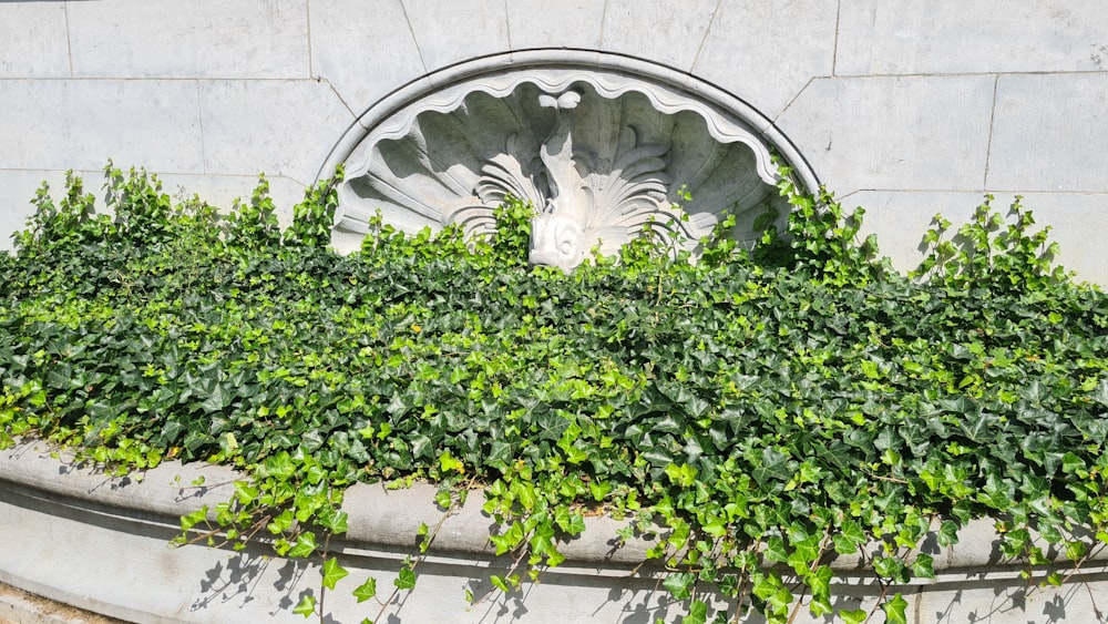 a fountain surrounded by green plants in a garden