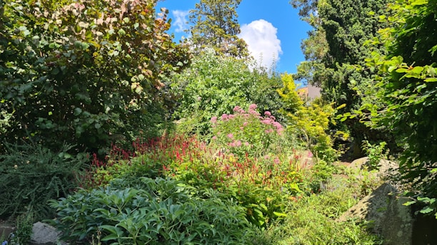 A lush garden with various types of greenery, including bushes and flowering plants. Some flowers have vibrant red and pink tones, and the garden is surrounded by tall trees. Bright sunlight illuminates the garden, creating a cheerful atmosphere.
